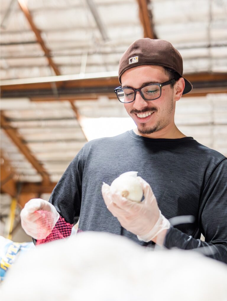 Volunteer sorting onions